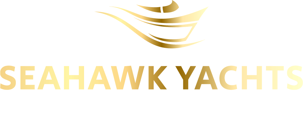Seahawk logo